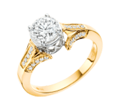 Product category image